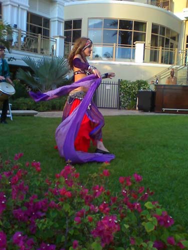 [IMAGE: sheesha veil dance and drum photo]